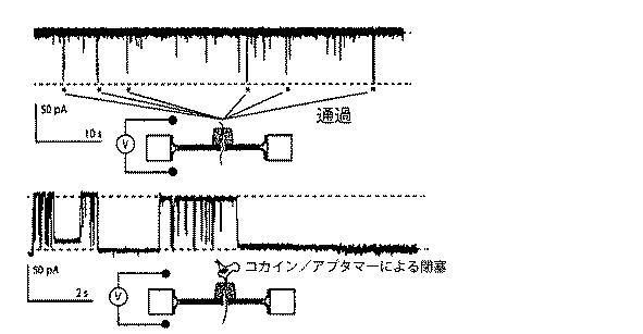 5683216-標的物質の検出方法及び装置 図000006