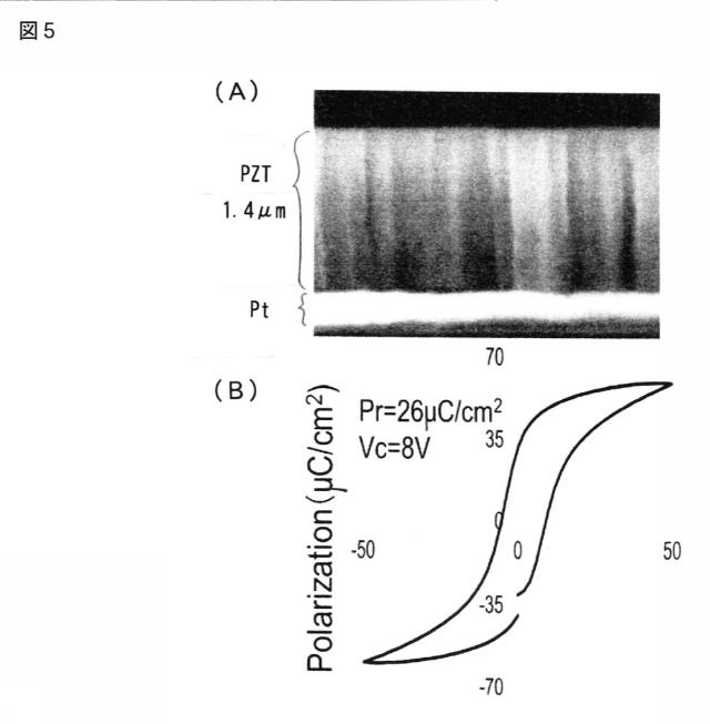 5699299-強誘電体膜の製造方法、強誘電体膜及び圧電素子 図000006