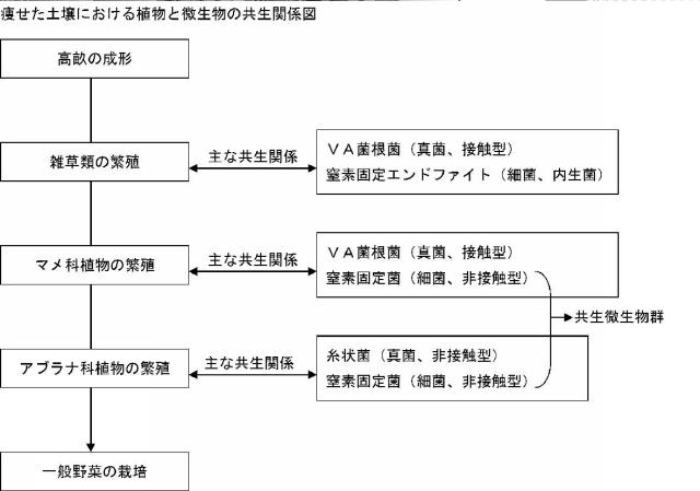 5770897-大気中の常在菌を活用し無肥料および無農薬で野菜を栽培する畑の造成方法 図000006