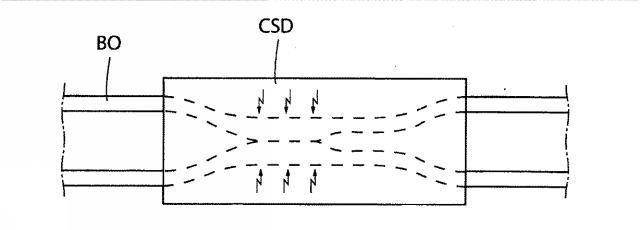 5830513-卵管内の精子の流れを制御する装置 図000006