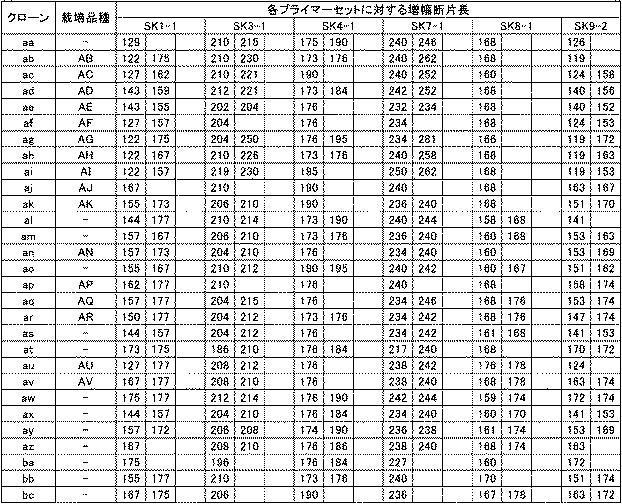 5892481-サクラのクローン識別のためのＤＮＡプライマーセット 図000006