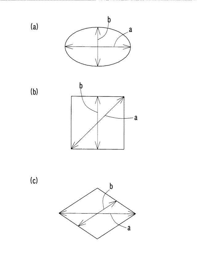 5937933-薬剤揮散体 図000006