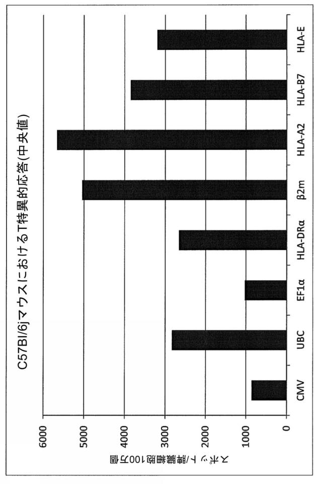 5938143-ＭＨＣクラスＩプロモーターを含有するレンチウイルスベクター 図000006