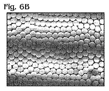 5963683-カプセル化された小滴に関するエマルジョンの化学およびアッセイ 図000006