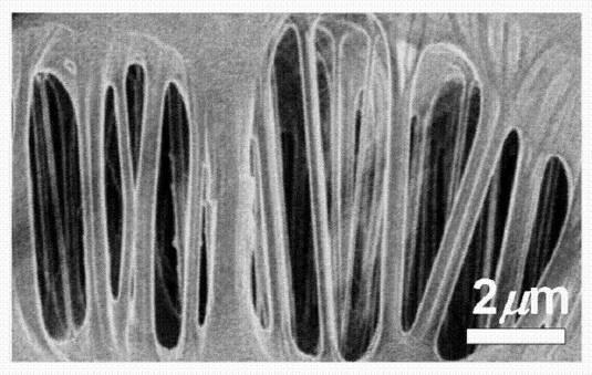 5979375-超高分子量ポリエチレン製多孔化膜の製造方法 図000006