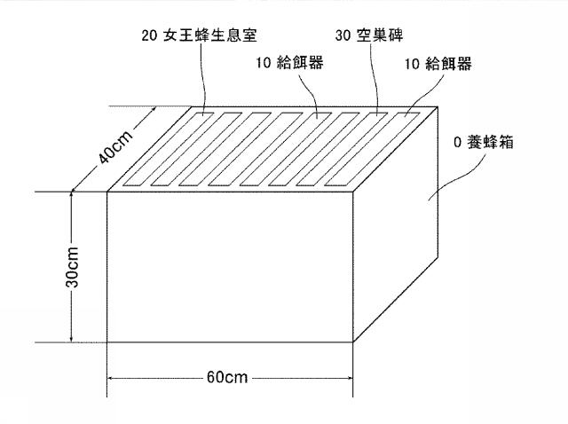 5982140-新規ハチミツの製造方法及び製造されたハチミツ 図000006