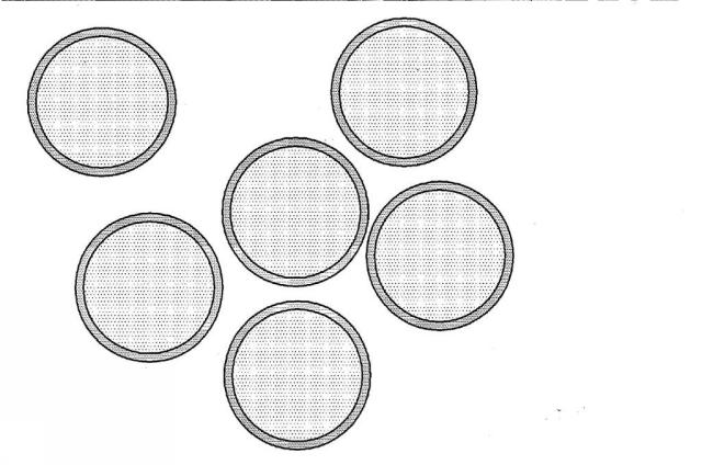 6001763-低用量エンテカビルの経口投与製剤の製造方法 図000006