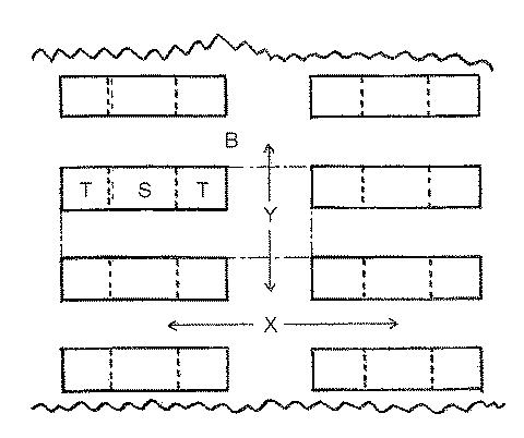 6006731-位置合わせ機能に優れたループ面ファスナー 図000006