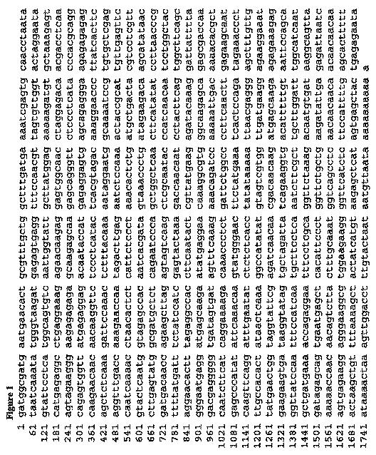 6091416-キレート剤およびペプチド抗微生物剤化合物の使用 図000006