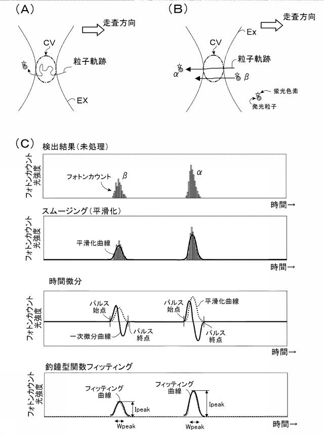 6157326-光検出を用いた単一発光粒子検出方法 図000006