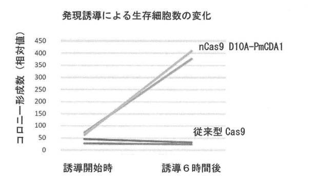 6206893-標的化したＤＮＡ配列の核酸塩基を特異的に変換するゲノム配列の改変方法及びそれに用いる分子複合体 図000006