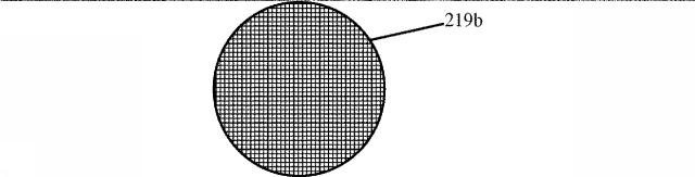 6221007-搾汁システム及び方法 図000006