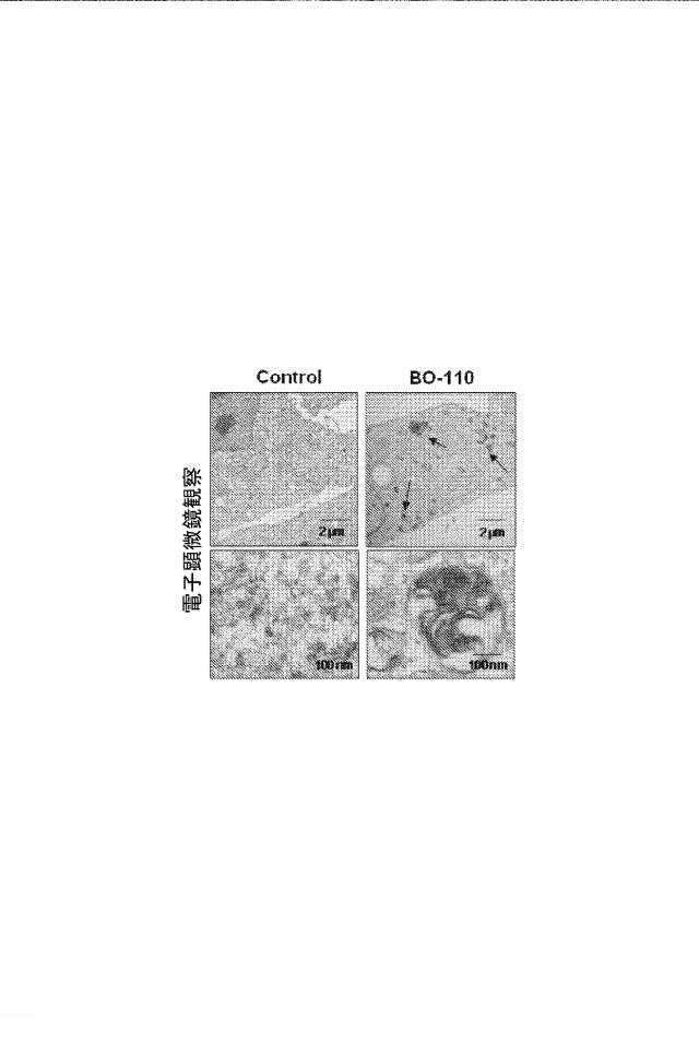 6222749-医薬組成物及びその使用 図000006