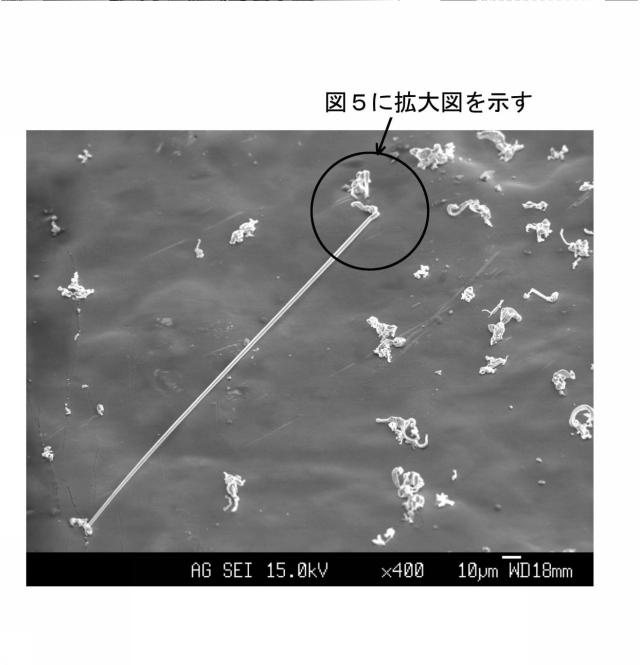 6223482-表面処理鋼板及びその鋼板を用いたカバー部材 図000006