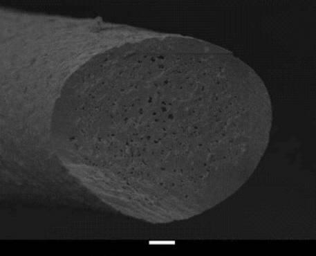 6228461-無機繊維及びその製造方法 図000006