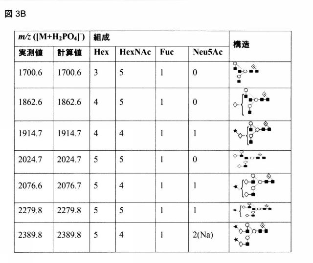 6249962-抗体およびエンドグリコシダーゼの組合せ治療上の使用 図000006