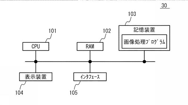 6252099-走査透過電子顕微鏡システム、画像処理装置、画像処理方法、および画像処理プログラム 図000006