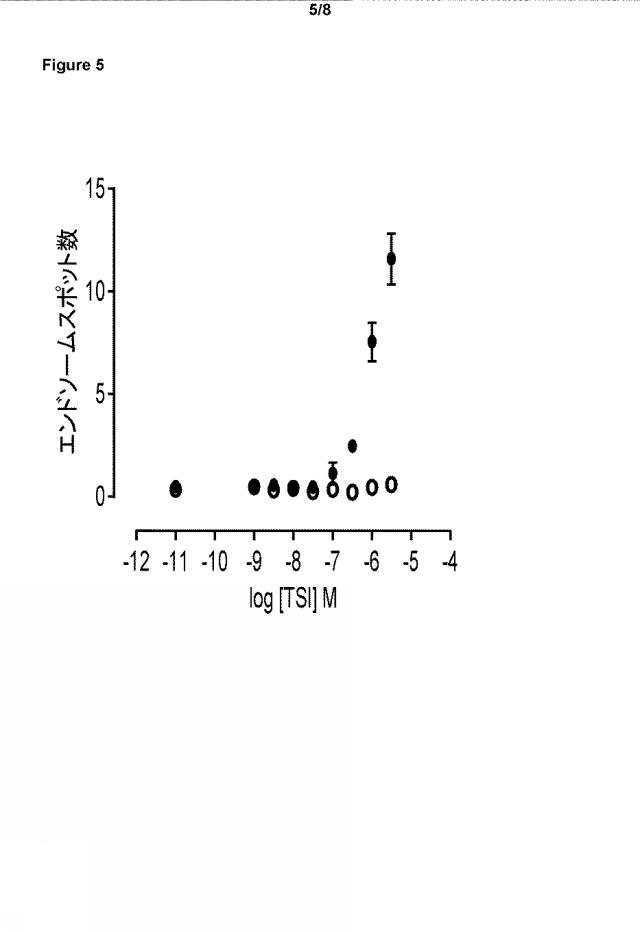 6302475-エンドソーム輸送評価試験法 図000006