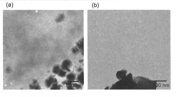 6320781-フェロシアン化物粒子−多糖類複合体 図000006