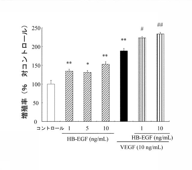 6369862-眼内血管新生抑制剤及びその用途 図000006