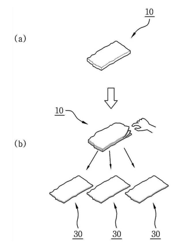 6392461-絹マトリクスを用いた人工生体膜及びその製造方法 図000006