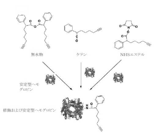 6392855-がん治療および診断イメージングのための修飾ヘモグロビンベース系治療剤を含む医薬組成物 図000006