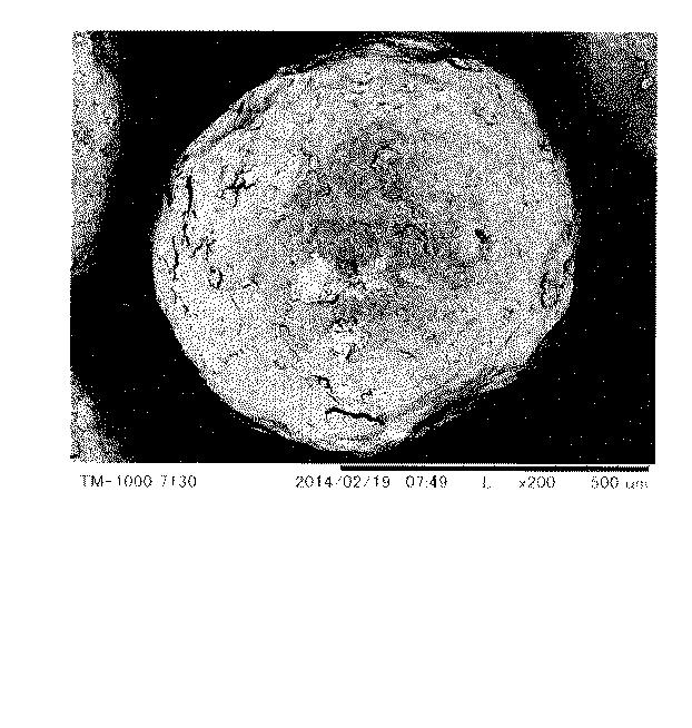 6420566-低鉛黄銅製接液部材の製造方法 図000006