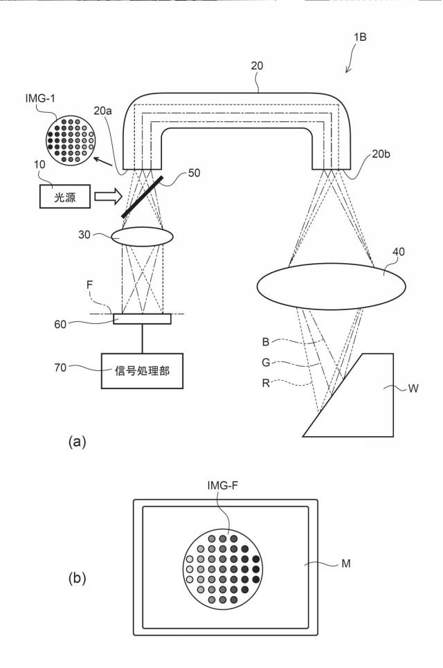 6420600-光学観察装置及び光学観察方法 図000006