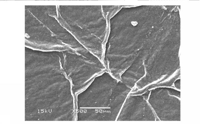 6463644-生物繊維膜及びその製造方法 図000006