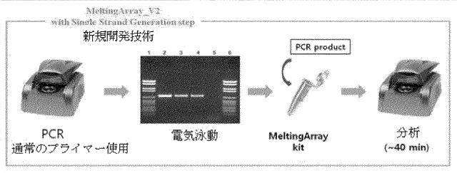 6464316-水産生物伝染病原因ウイルスの判別及び検出用遺伝子マーカー、及びこれを利用した当該ウイルスを判別及び検出する方法 図000006