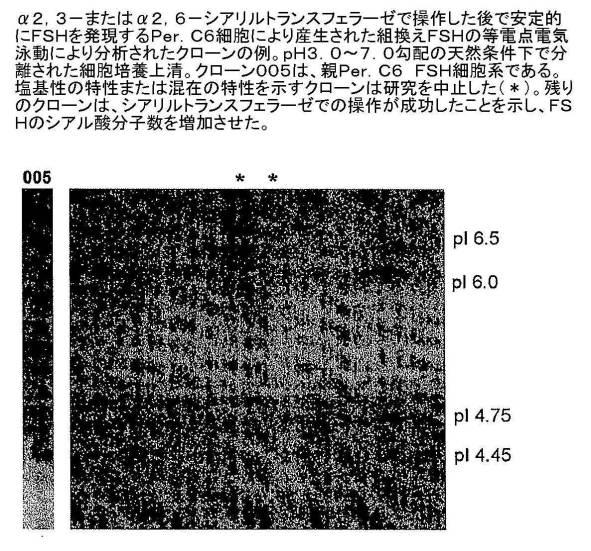 6486310-アルファ２，３−およびアルファ２，６−シアリル化を含む組換えＦＳＨ 図000006