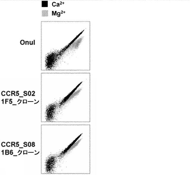 6488283-Ｃ−Ｃケモカイン受容体５型（ＣＣＲ５）遺伝子を開裂するＬＡＧＬＩＤＡＤＧホーミングエンドヌクレアーゼおよびその用途 図000006