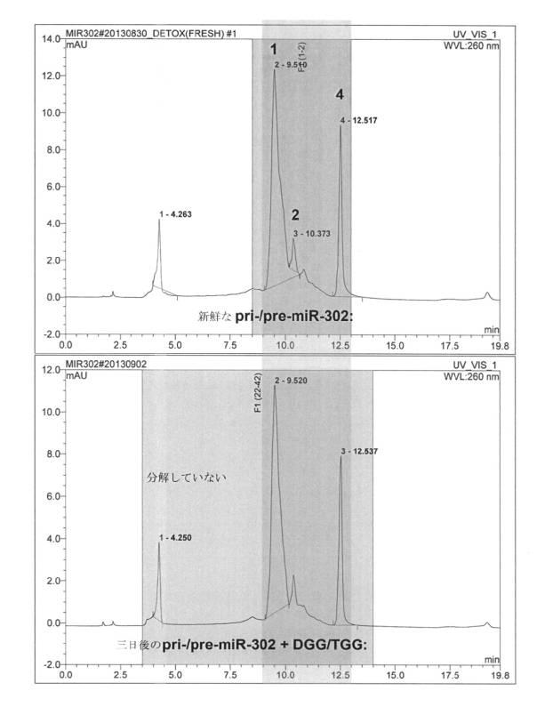 6521981-生体内及び体外で核酸類薬物を送達するための新規な糖アルコール類組成物 図000006