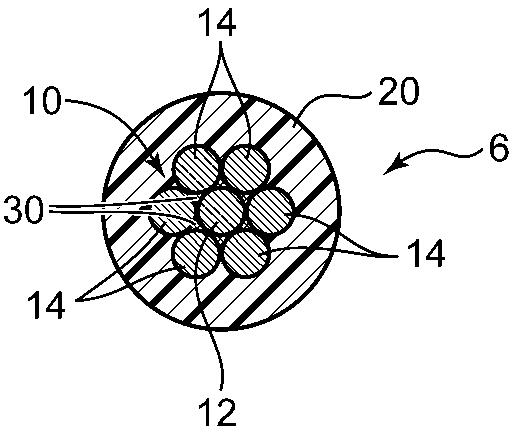 6555135-車両用配線構造及びその製造方法 図000006