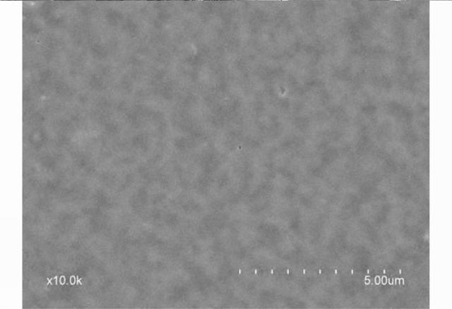 6564588-多孔質モノリスコーティング構造物及びその製造方法 図000006