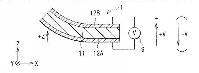 6601217-イオン伝導膜、ポリマー素子、電子機器、カメラモジュールおよび撮像装置 図000006