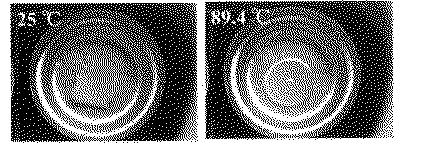 6689618-ポリエステル組成物及びこれを用いた接着剤、充填修復剤または樹脂形成品 図000006