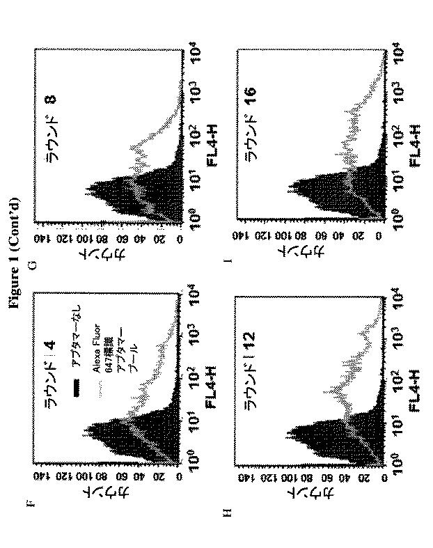 6702938-アンタゴニストＩＣ  ＣＴＬＡ−４アプタマー及びその免疫活性増強への応用 図000006