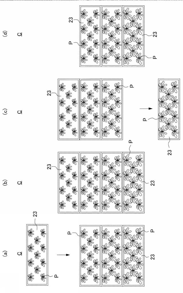 6707244-植物栽培方法、植物栽培システム及びラック 図000006