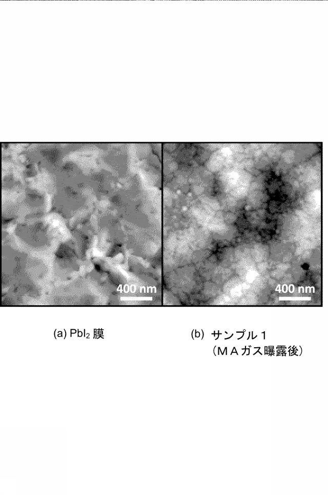 6732342-ペロブスカイト膜の形成方法、ペロブスカイト膜及び太陽電池 図000006