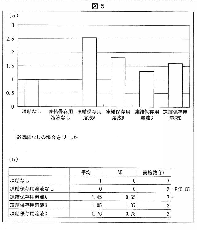 6745449-臍帯組織の凍結保存方法 図000006