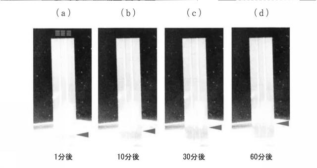 6781652-摺動部材およびエンジン部品 図000006