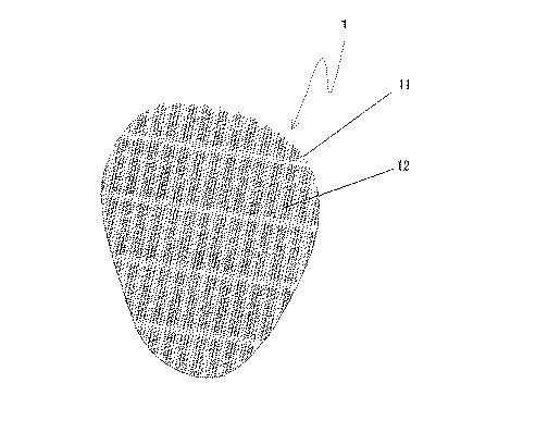 6802940-身体の重心安定用粉体組成物及びその製造方法とその利用 図000006