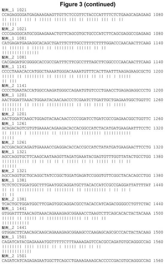 6808842-ＦＧＦ２１応答性レポーター遺伝子細胞株 図000006