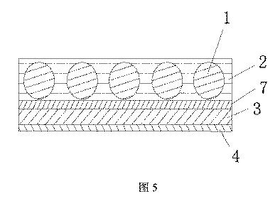 6830445-光反射発光膜、その製造方法及び利用 図000006