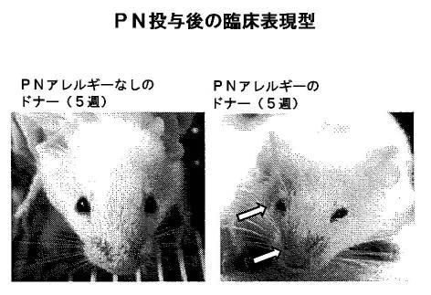 6878301-アレルゲンに対する反応を予防するための遺伝子治療 図000006