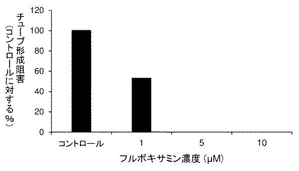 6952980-血管新生阻害薬 図000006