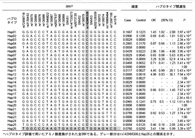 6979582-変異型蛋白質、及び該変異型蛋白質を発現し円形脱毛を発症する遺伝子改変マウス 図000006