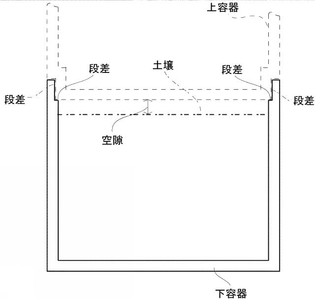 5668249-栽培容器、及び高糖度のトマトの栽培方法 図000007