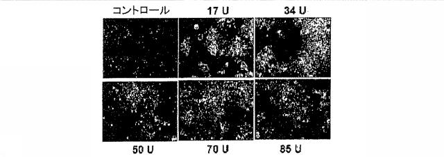 5679986-細胞輸送システム 図000007